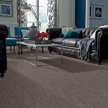 Anso® Nylon Carpet | Arlington, TX